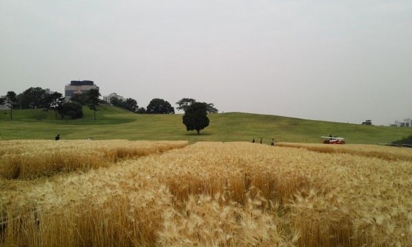 37dc284c967bc6cf808c9c70c52e6100_1466915