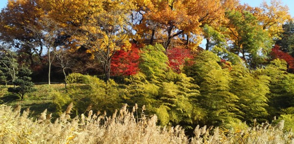 a3566e995dd8739da49797f6db2e23bc_1468733